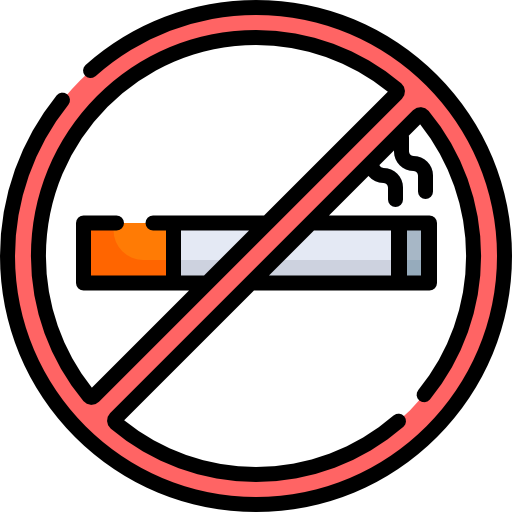 No smoking Special Lineal color icon