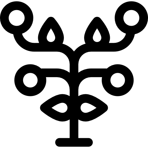 과일 Basic Rounded Lineal icon