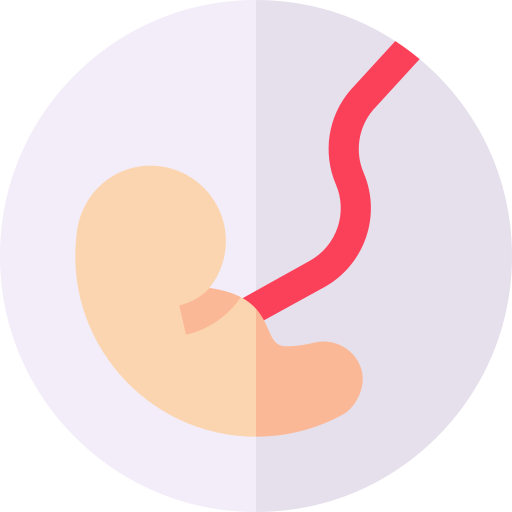 fœtus Basic Straight Flat Icône