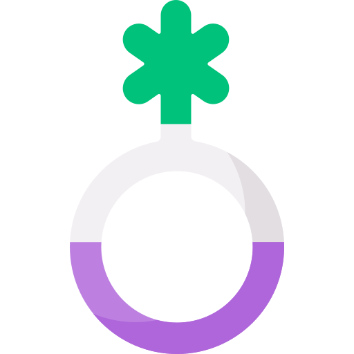 queer Special Flat ikona