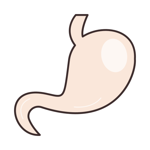 Stomach Generic Hand Drawn Color icon