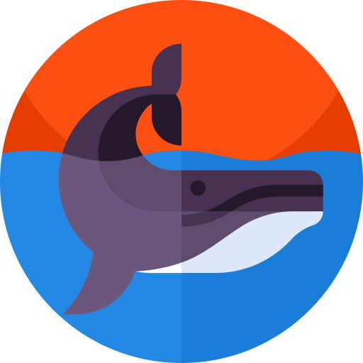 Whale Geometric Flat Circular Flat icon