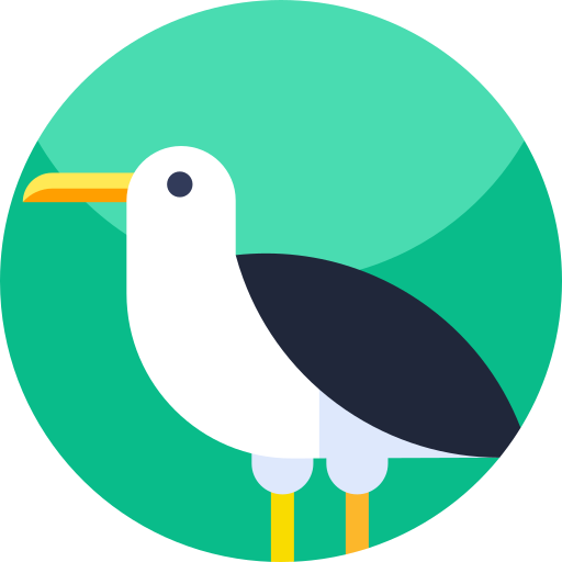 möwe Geometric Flat Circular Flat icon