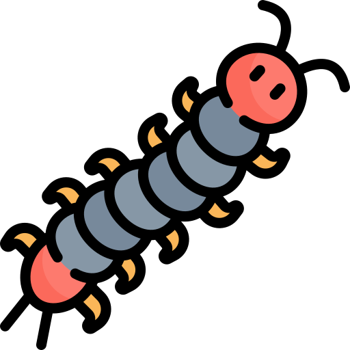 Centipede Kawaii Lineal color icon