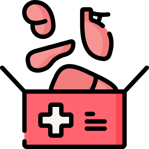 Organ donation Special Lineal color icon