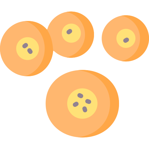 célula madre Special Flat icono