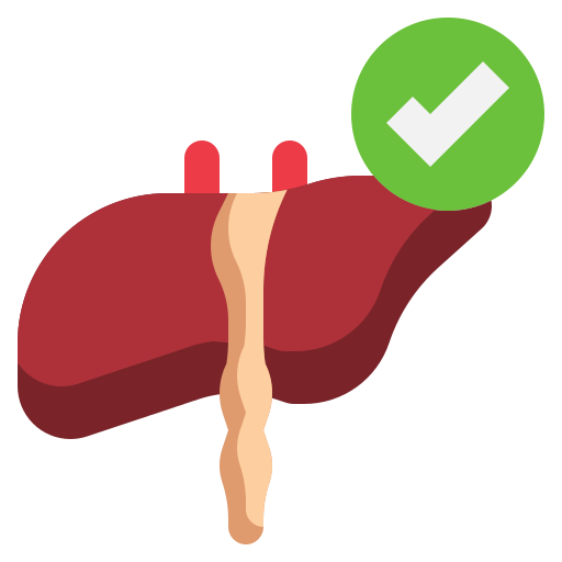 hígado Generic Flat icono