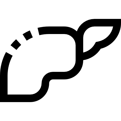 Печень Pixelmeetup Lineal иконка
