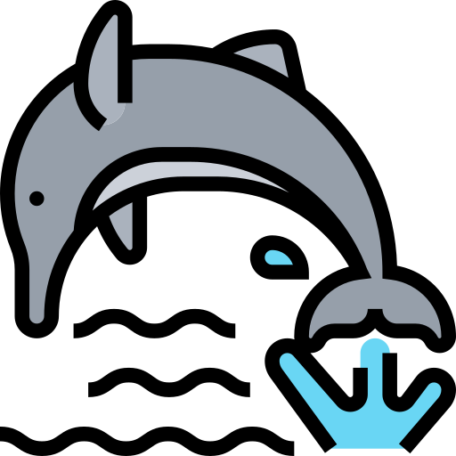 dolfijn Meticulous Lineal Color icoon