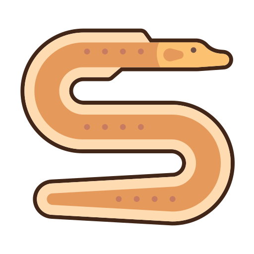 Eel Flaticons Lineal Color icon