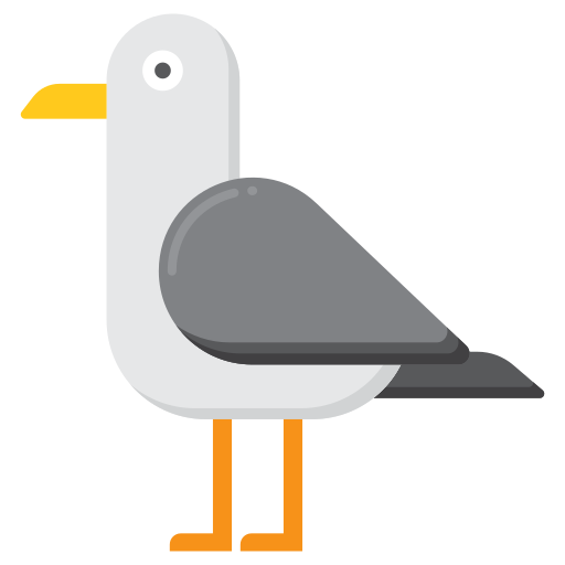 Seagull Flaticons Flat icon