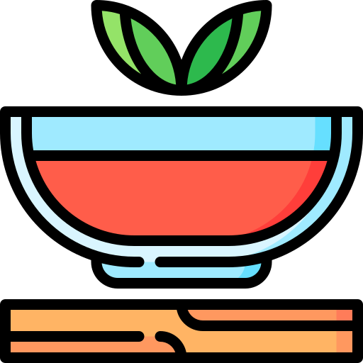 Gazpacho Special Lineal color icon