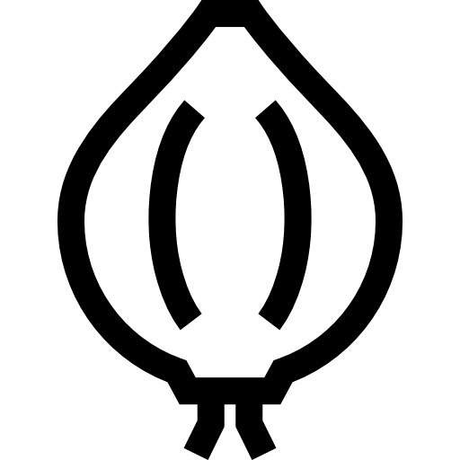 양파 Basic Straight Lineal icon