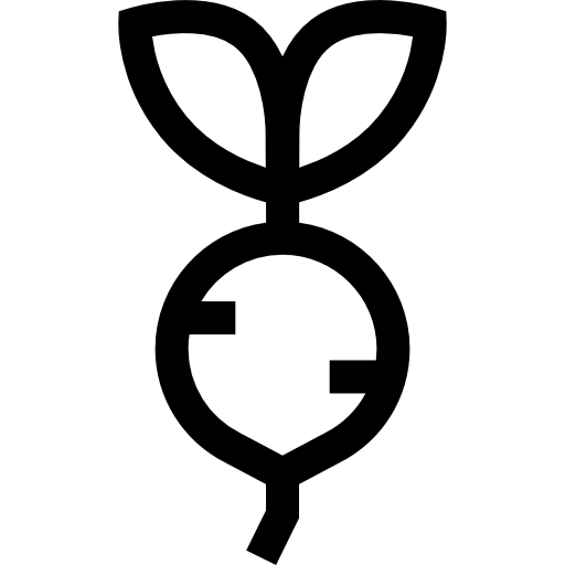 rapa Basic Straight Lineal icona