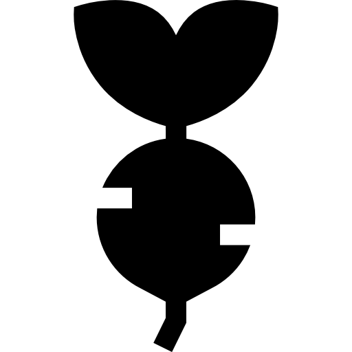 steckrübe Basic Straight Filled icon