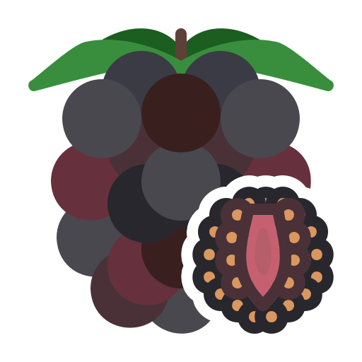 brombeere Generic Flat icon