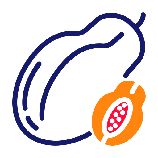 papaya Generic Fill & Lineal icono