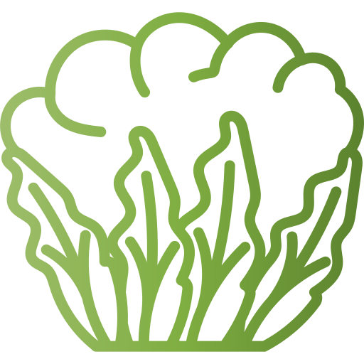 Cauliflower Generic Gradient icon