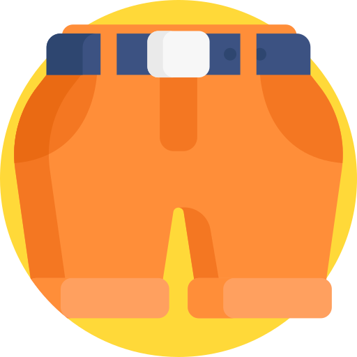 shorts Detailed Flat Circular Flat Icône