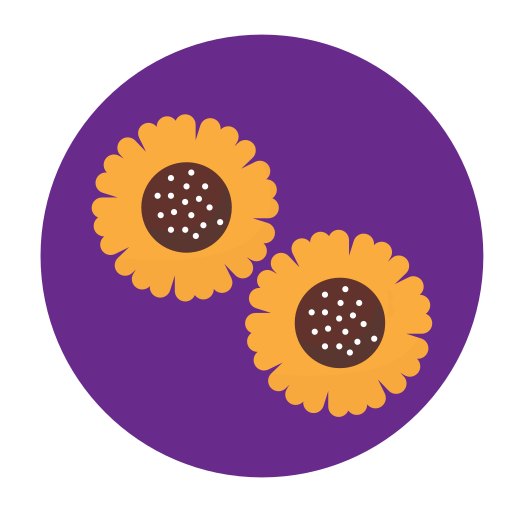 Sunflower Generic Circular icon