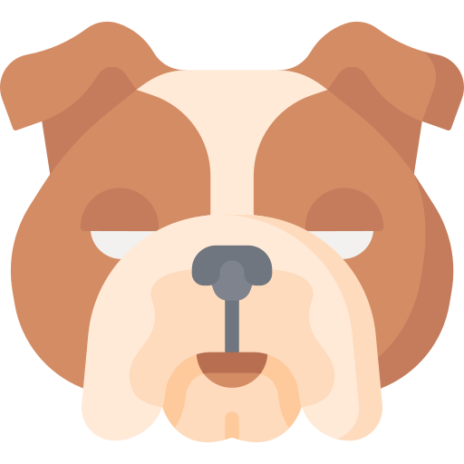 bulldogge Special Flat icon