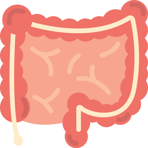 intestinos Generic Flat Ícone