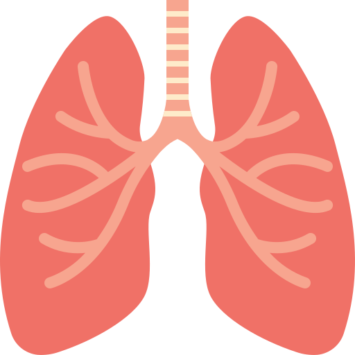 Lungs Generic Flat icon