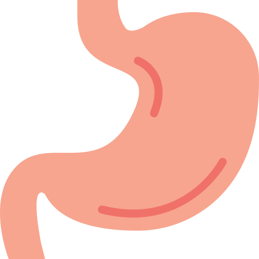 Stomach Generic Flat icon