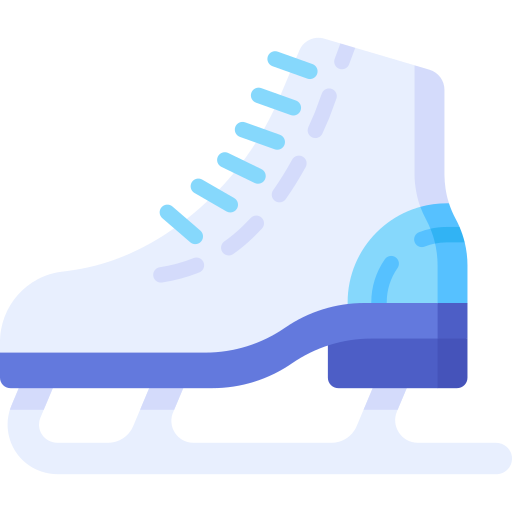 patins à glace Special Flat Icône