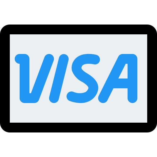 visa Pixel Perfect Lineal Color icon