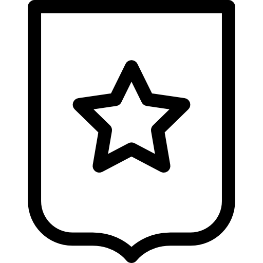 scudo con stella  icona