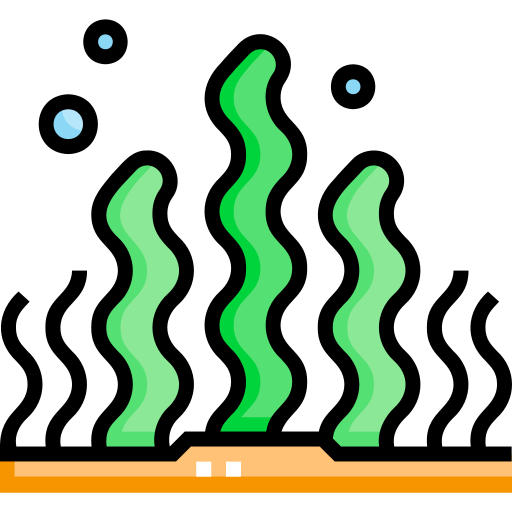 해초 Detailed Straight Lineal color icon