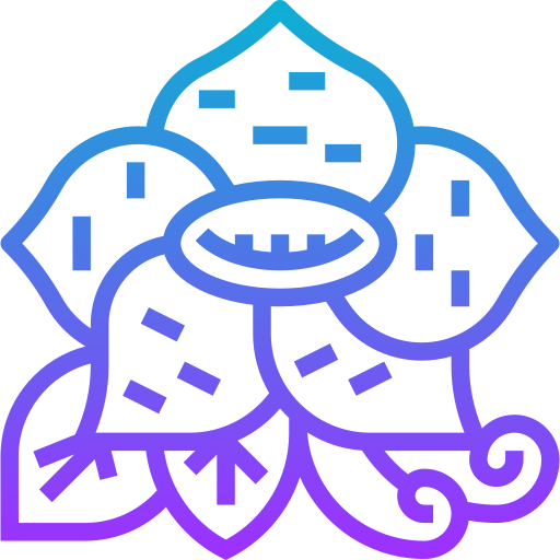 Rafflesia Meticulous Gradient icon