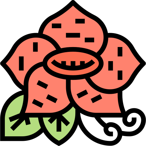 Rafflesia Meticulous Lineal Color icon