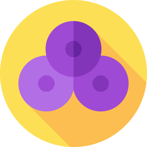 jagody Flat Circular Flat ikona