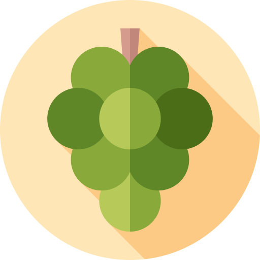 Grapes Flat Circular Flat icon
