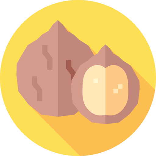 호두 Flat Circular Flat icon