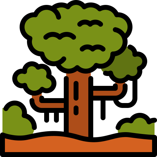 雨林 Generic Outline Color icon