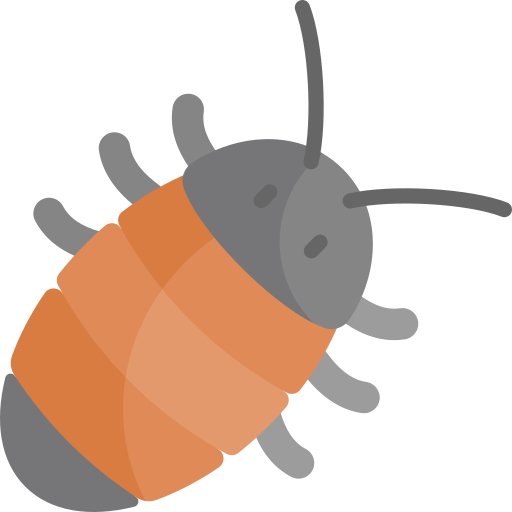 Madagascar hissing cockroach Kawaii Flat icon