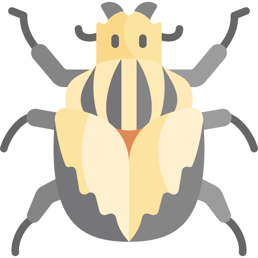 Goliath beetle Kawaii Flat icon