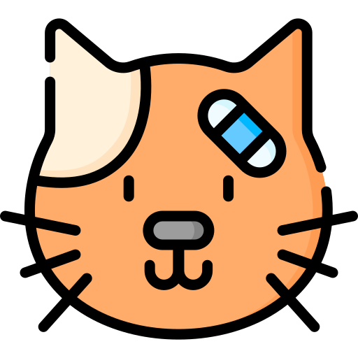 gato Special Lineal color icono