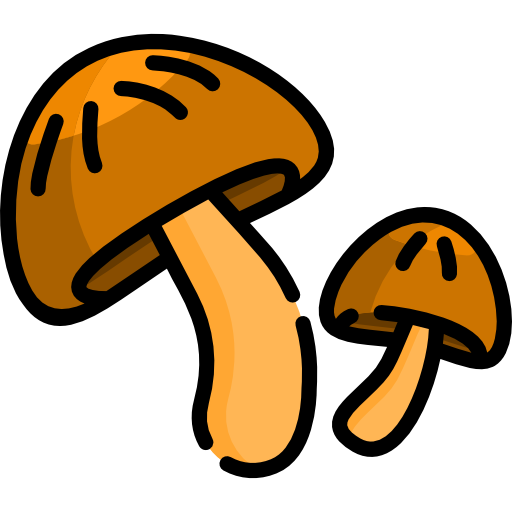 pilz Special Lineal color icon