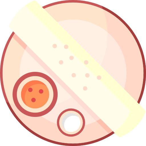 Tortilla Special Flat icon
