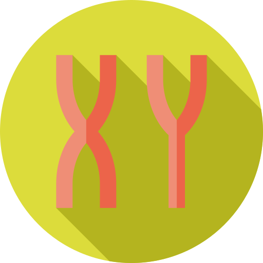 염색체 Flat Circular Flat icon
