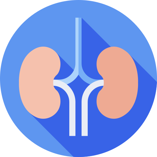 Kidneys Flat Circular Flat icon