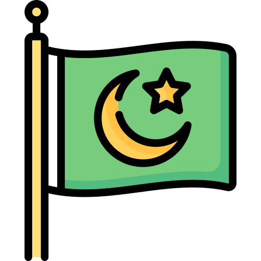 Флаг Special Lineal color иконка
