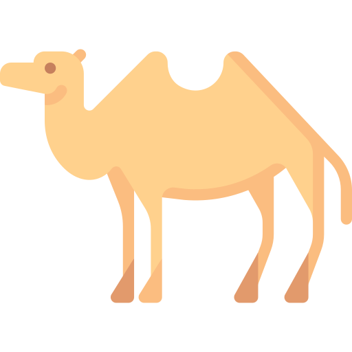 Верблюд Special Flat иконка