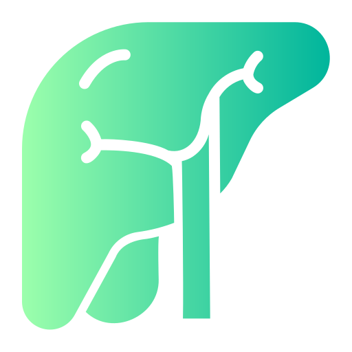 肝臓 Generic Flat Gradient icon