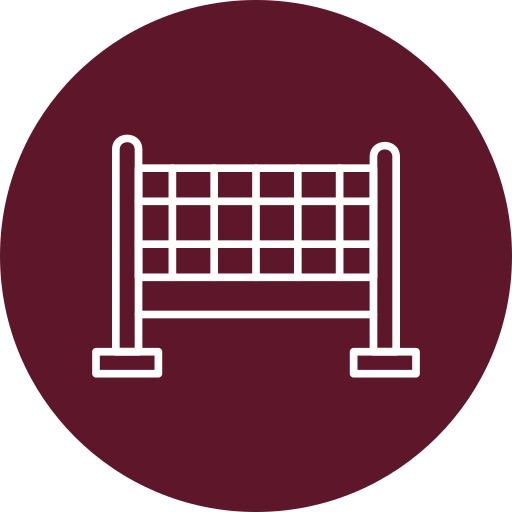 Volley Generic Flat icon
