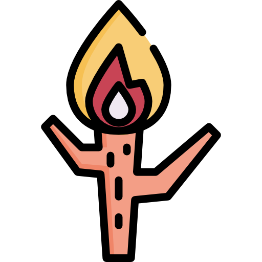 ogień Special Lineal color ikona